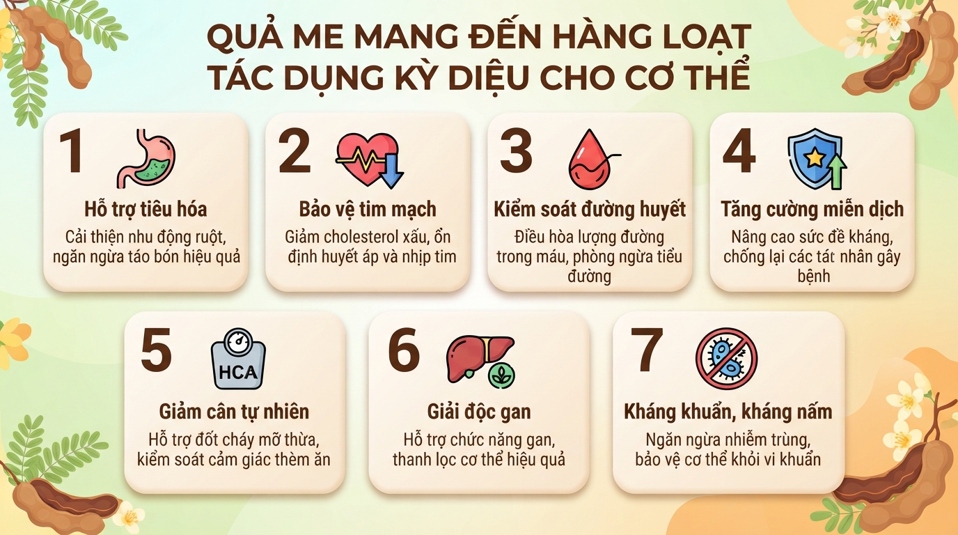 Quả me có tác dụng gì? 7 lợi ích sức khỏe và lưu ý dùng đúng cách