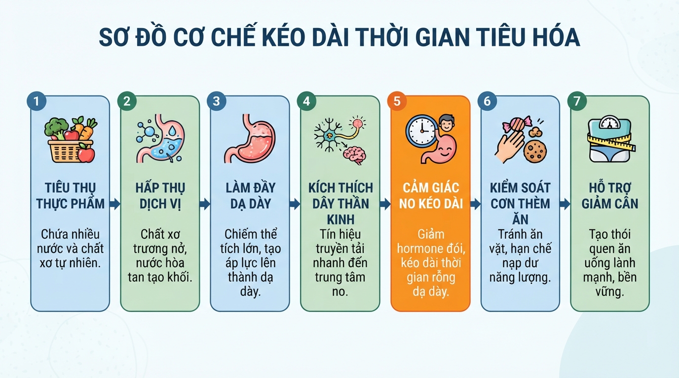 Cơ chế kéo dài thời gian tiêu hóa giúp kiểm soát cơn thèm ăn tự nhiên.