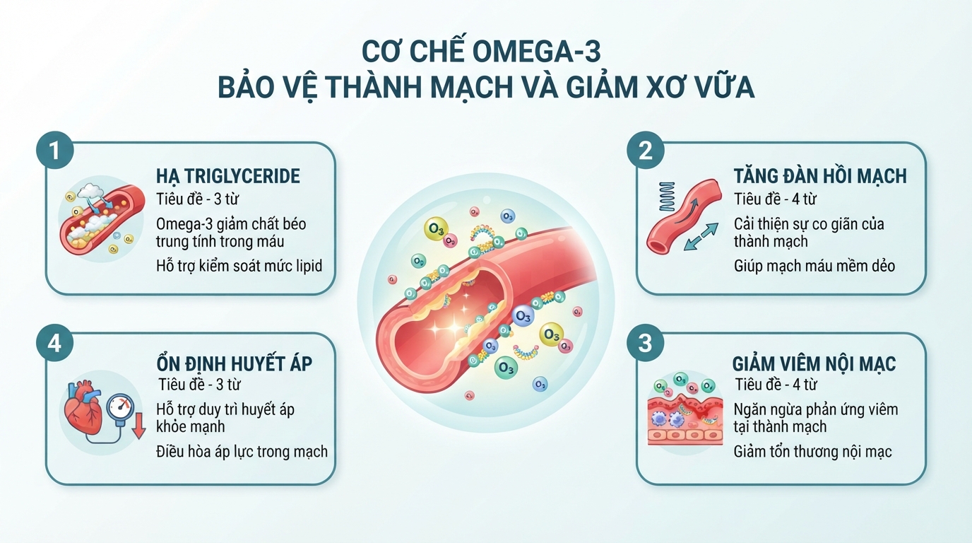 Cơ chế tác động của Omega-3 giúp giảm xơ vữa và bảo vệ thành mạch.