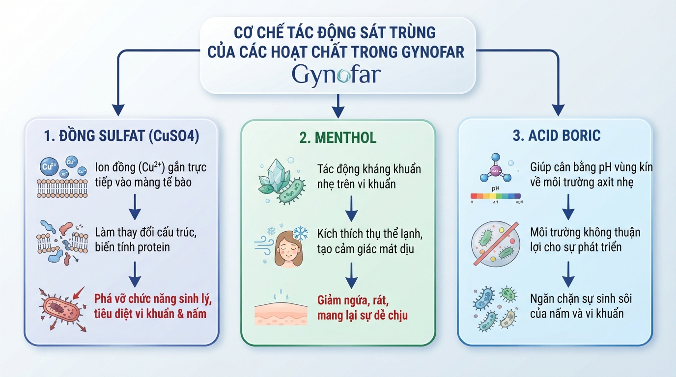 Cơ chế tác động sát trùng của đồng sulfat và menthol trong Gynofar.