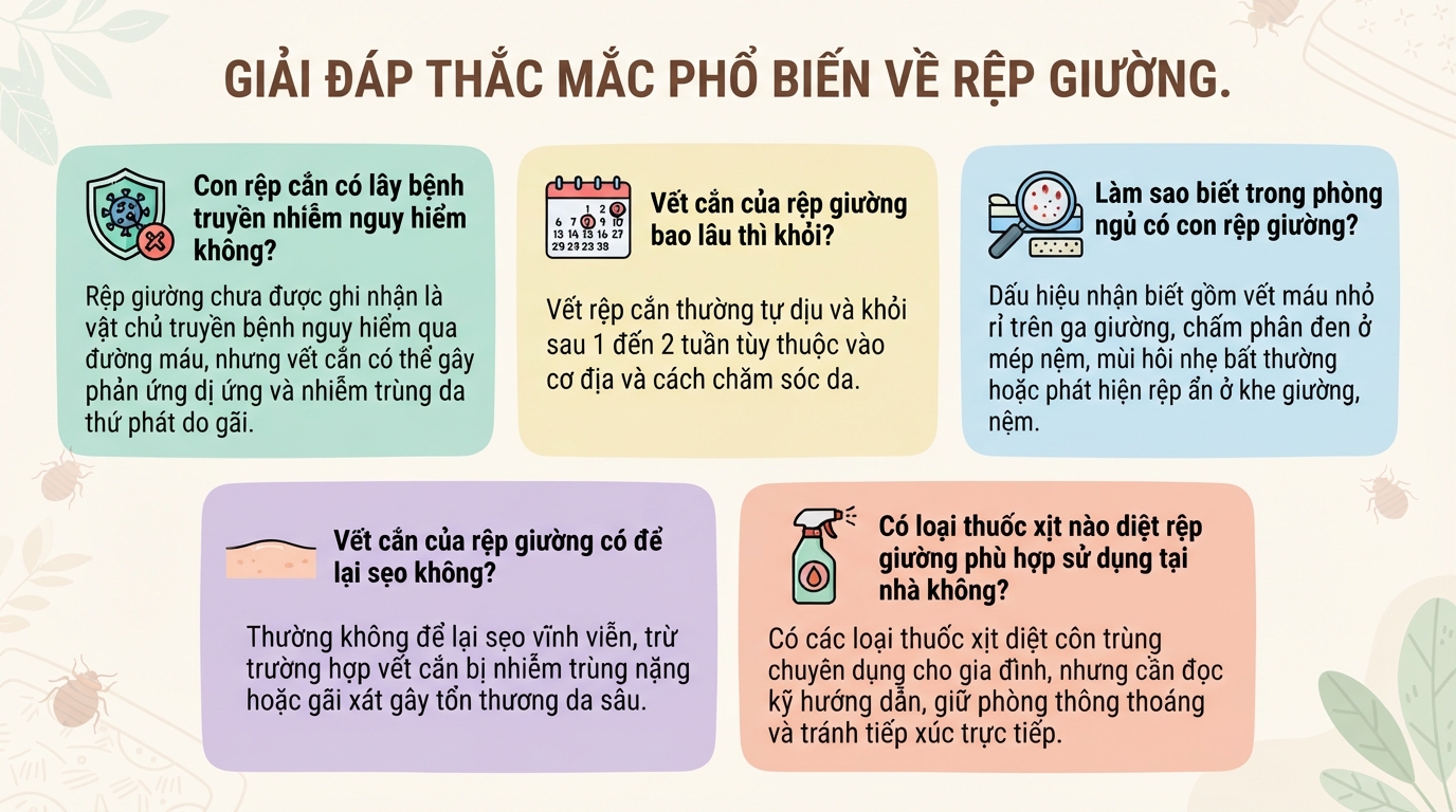 Con rệp giường: Dấu hiệu nhận biết vết cắn và cách xử lý đúng cách