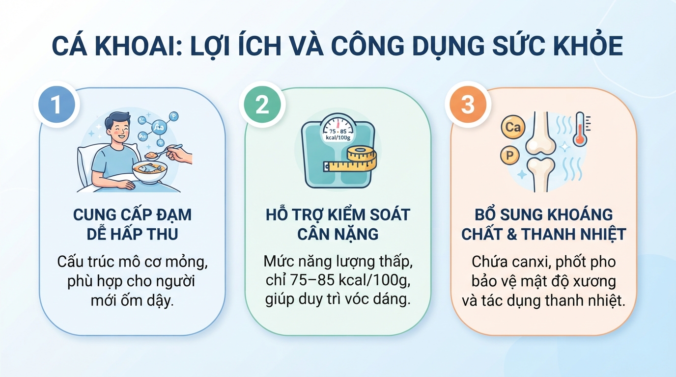 Đạm trong thịt cá dễ thủy phân thành amino acid hỗ trợ hệ tiêu hóa yếu.