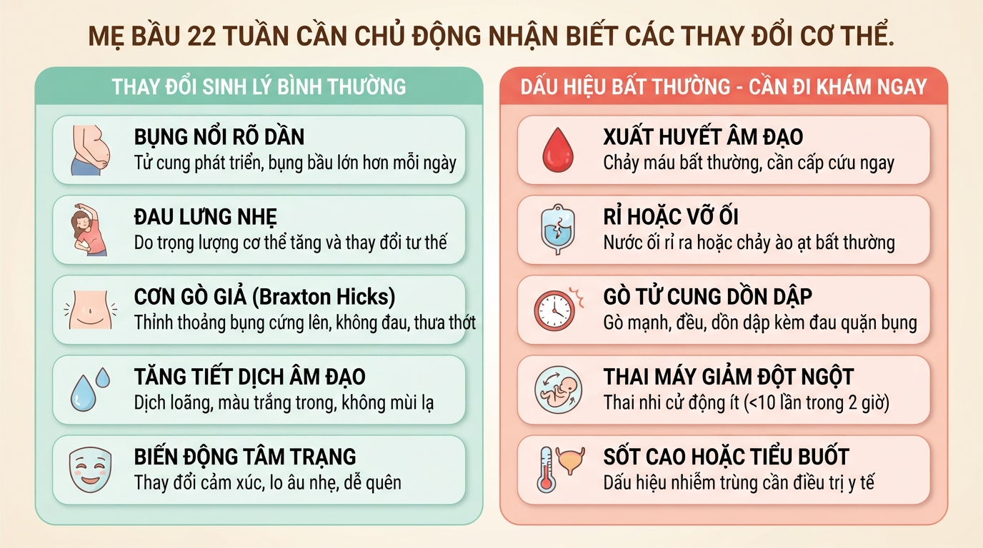 Thai 22 tuần là mấy tháng? Chỉ số phát triển và mốc siêu âm cần biết