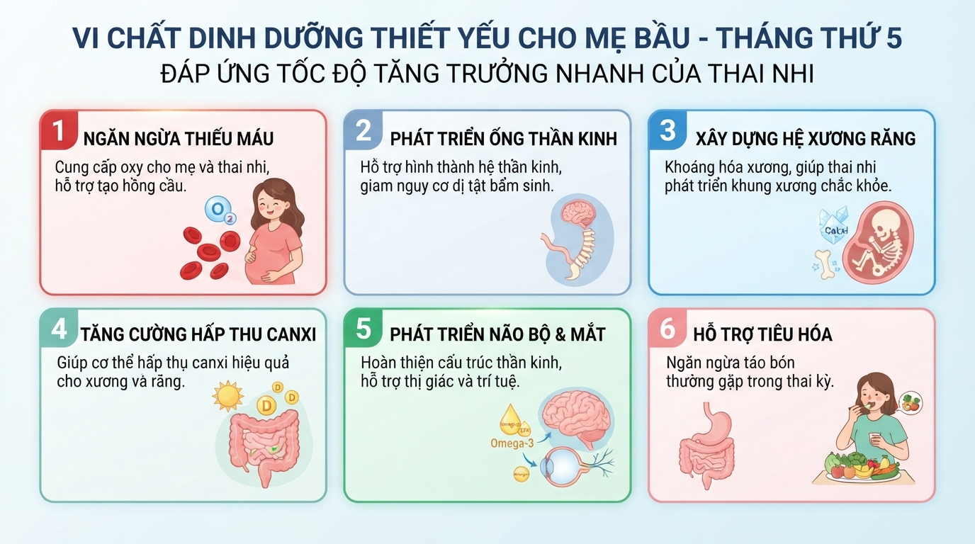 Danh mục các vi chất dinh dưỡng thiết yếu cho mẹ bầu ở tháng thứ 5.