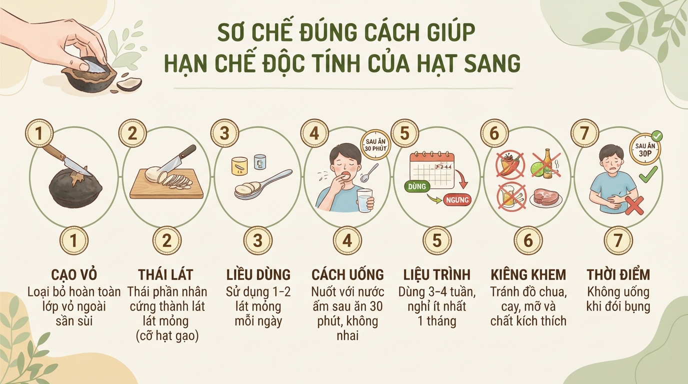 Hạt sang: Công dụng dân gian và lưu ý khi sử dụng