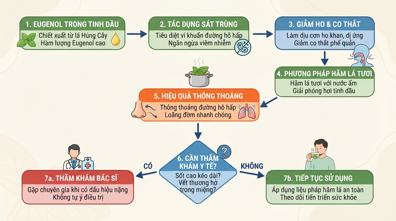 Eugenol trong tinh dầu giúp sát trùng vi khuẩn đường hô hấp và giảm ho khan dị ứng hiệu quả.