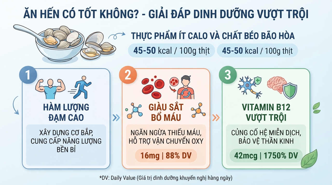 Giải đáp ăn hến có tốt không qua hàm lượng đạm, sắt và vitamin B12 vượt trội.
