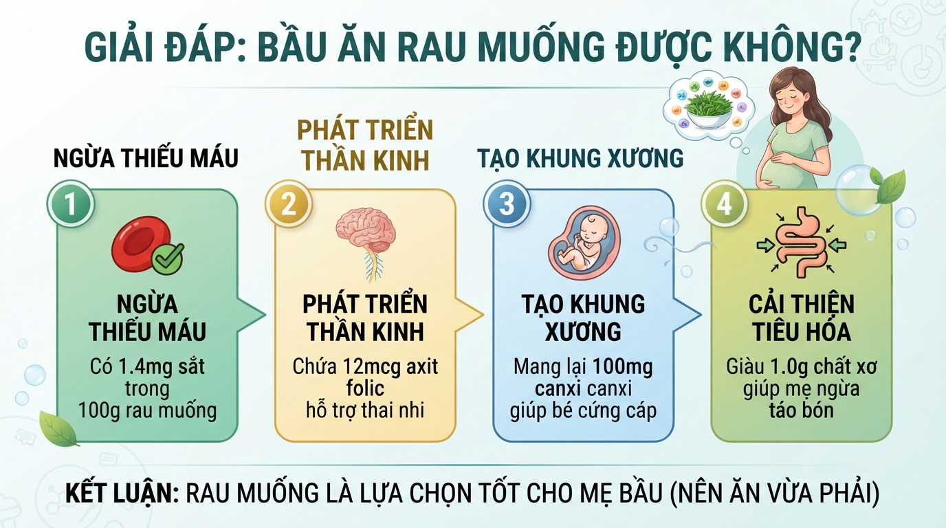 Giải đáp bầu ăn rau muống được không qua hàm lượng sắt, canxi và axit folic.