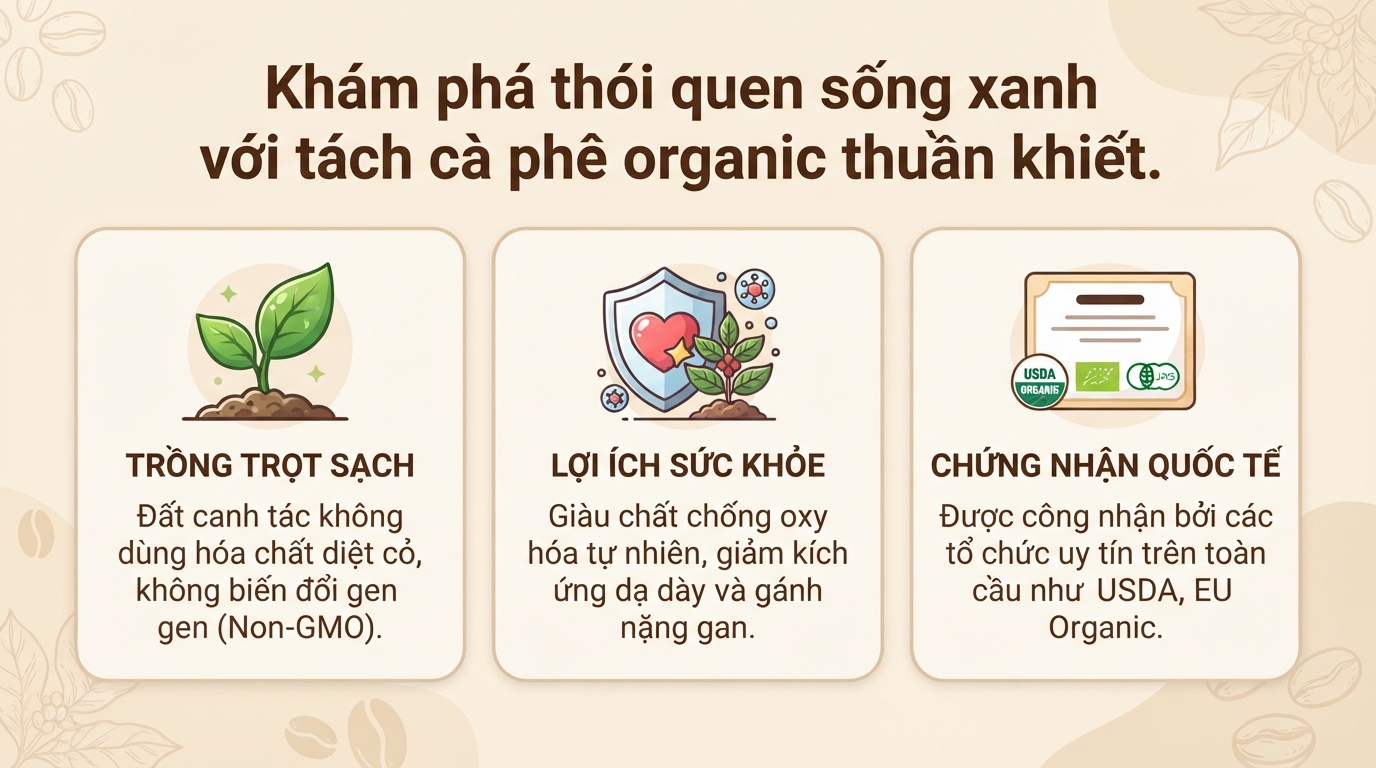 Cà phê organic là gì? Lợi ích sức khỏe và cách phân biệt