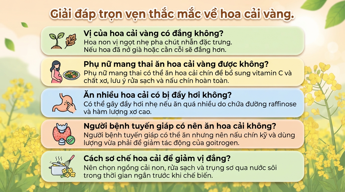 Hoa cải vàng có ăn được không? Giá trị dinh dưỡng và cách sử dụng