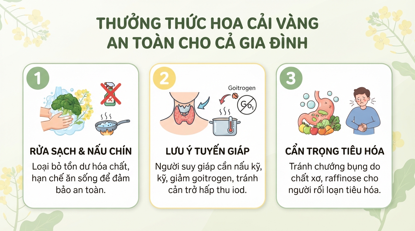 Hoa cải vàng có ăn được không? Giá trị dinh dưỡng và cách sử dụng