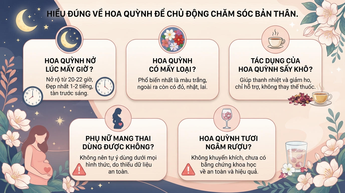 Hoa quỳnh: Đặc điểm, ý nghĩa và ứng dụng trong Y học cổ truyền