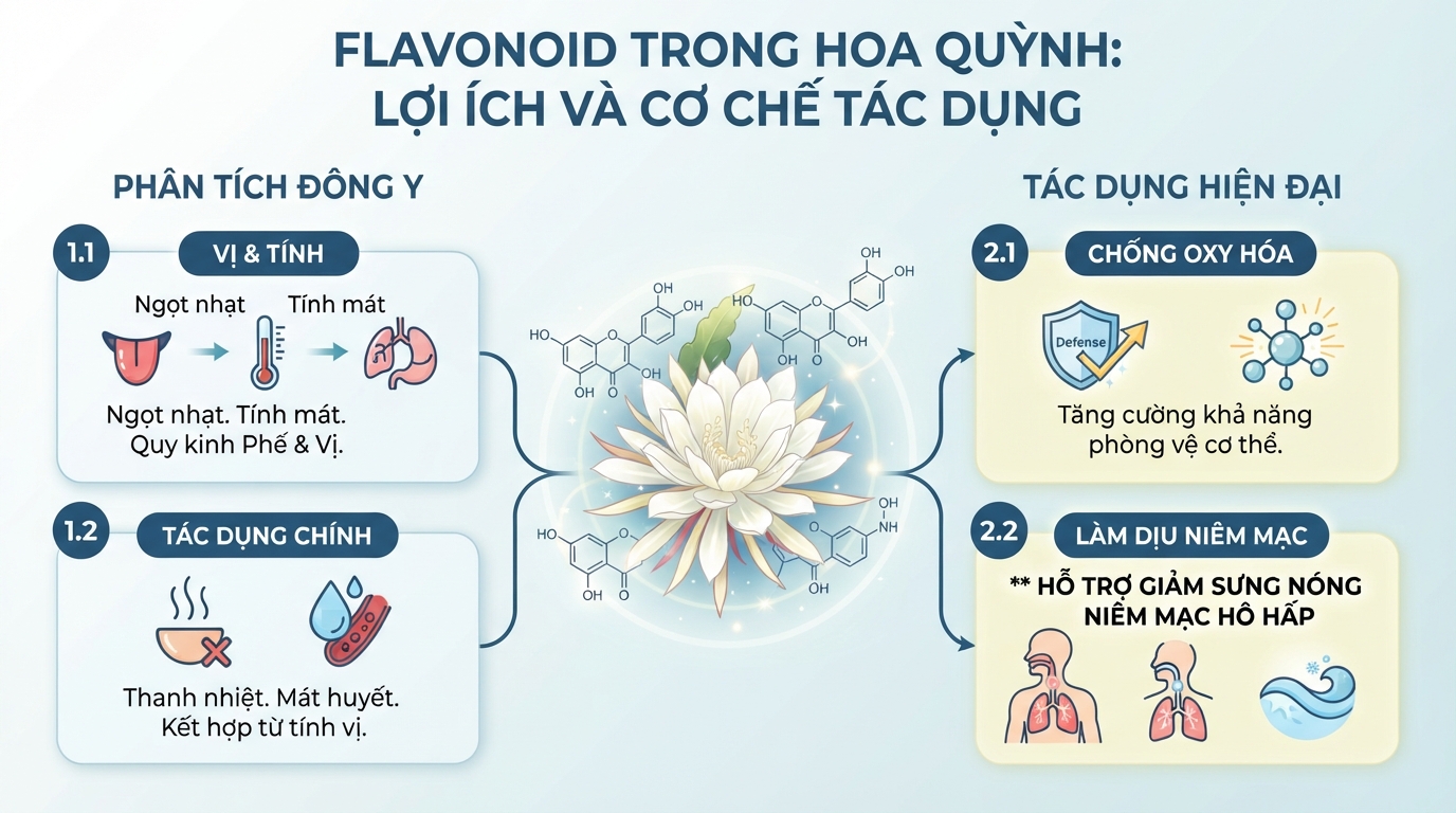 Hoạt chất flavonoid giúp tăng cường khả năng chống oxy hóa và làm dịu niêm mạc.