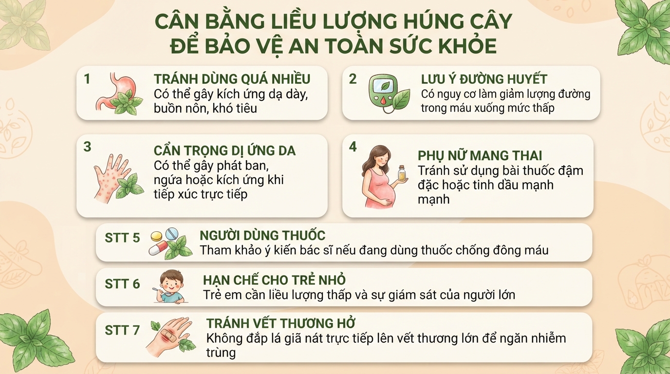 Húng cây có tác dụng gì? Cách phân biệt các loại rau húng thơm