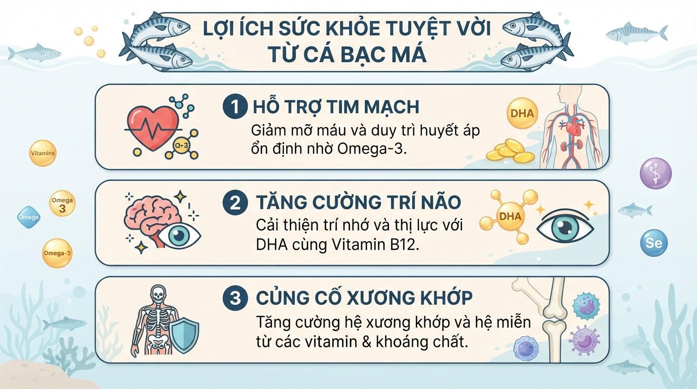 Cá bạc má có tác dụng gì? Giá trị dinh dưỡng và lợi ích sức khoẻ