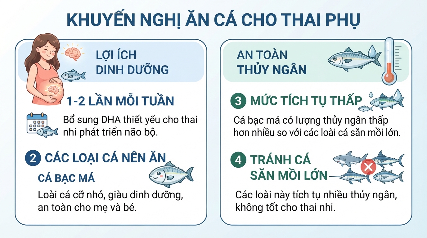 Khẩu phần khuyến nghị và mức độ an toàn thủy ngân cho thai phụ.
