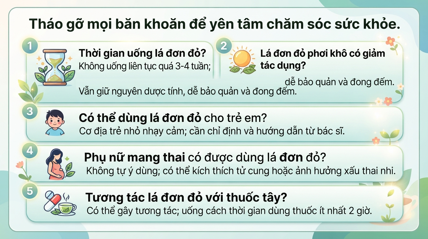 Lá đơn đỏ: Công dụng, cách dùng và lưu ý an toàn