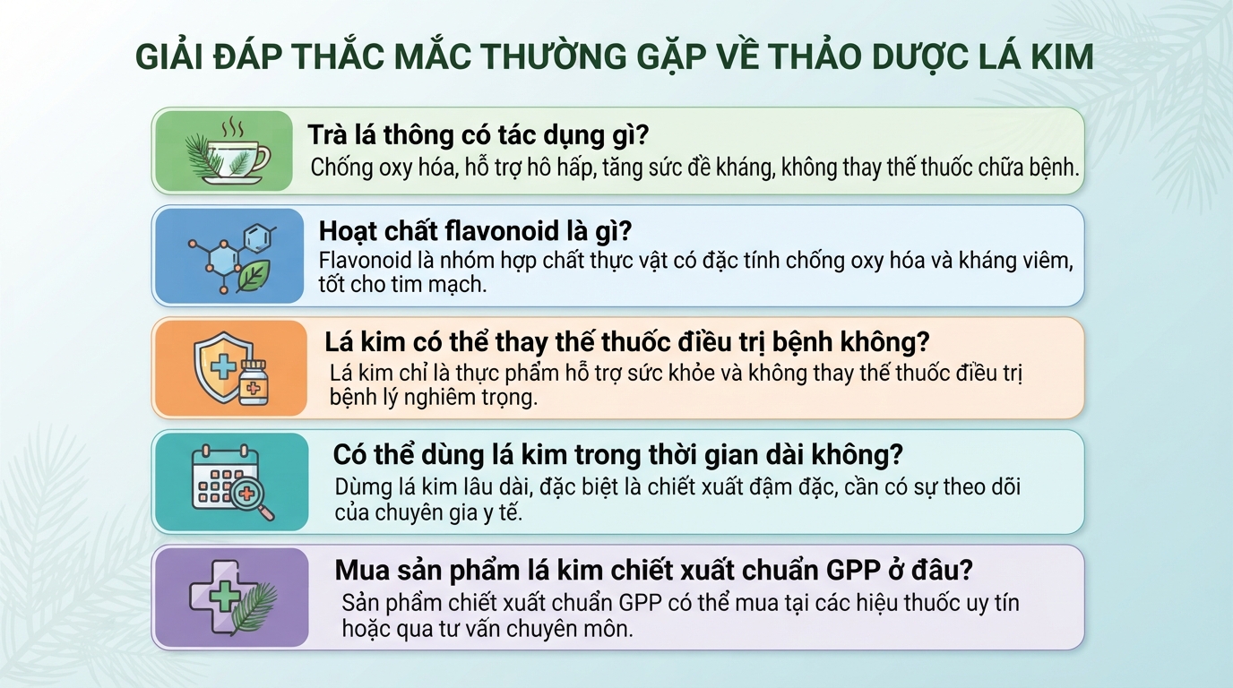 Lá kim là gì? Phân loại, tác dụng và cách sử dụng an toàn