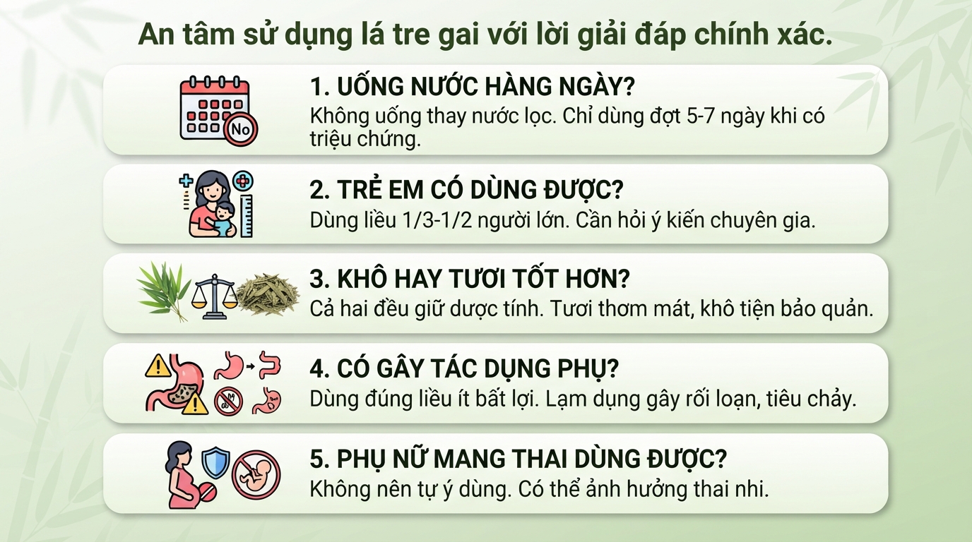 Lá tre gai: 7 tác dụng đối với sức khỏe và cách dùng hợp lý
