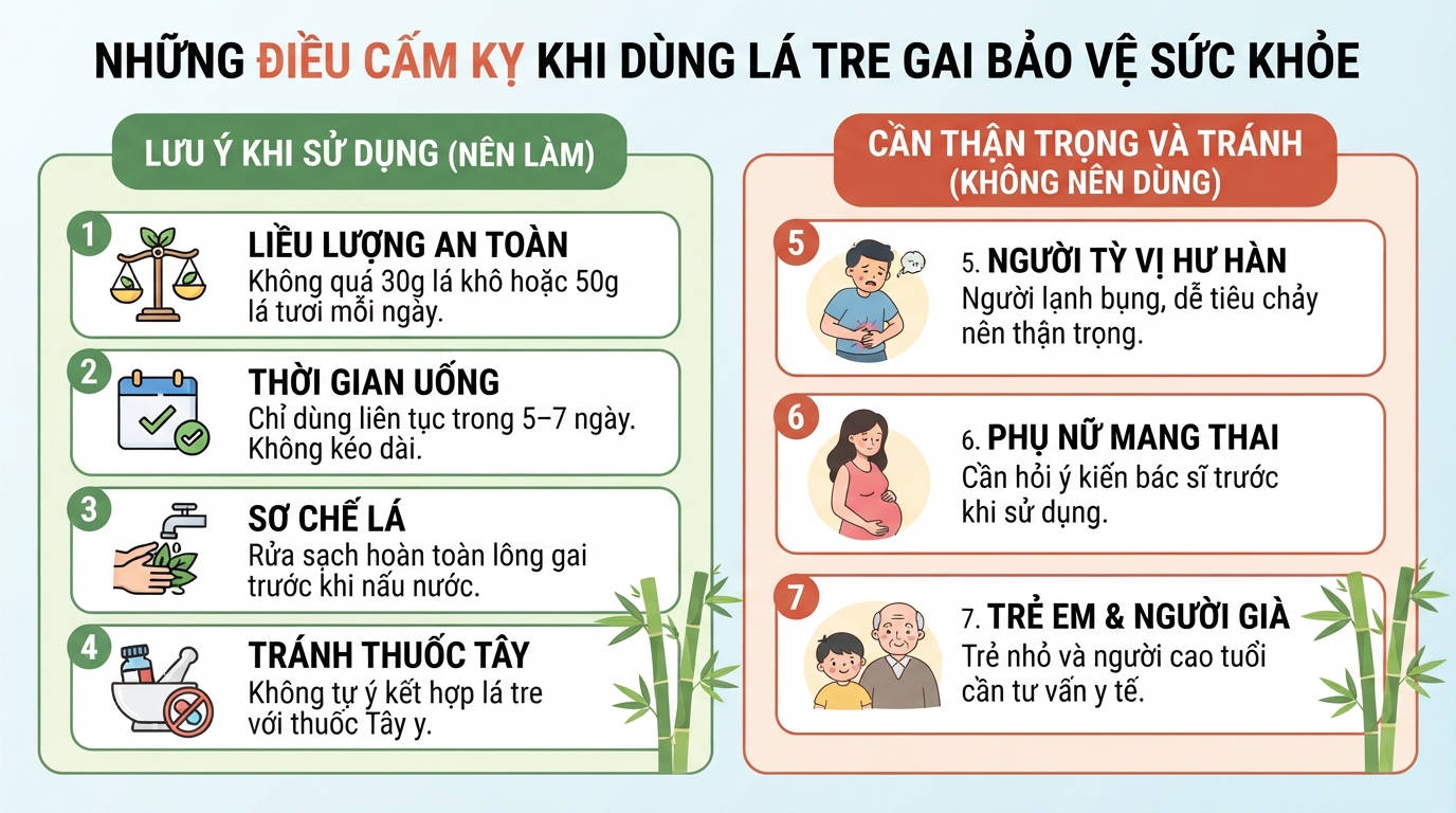 Lá tre gai: 7 tác dụng đối với sức khỏe và cách dùng hợp lý