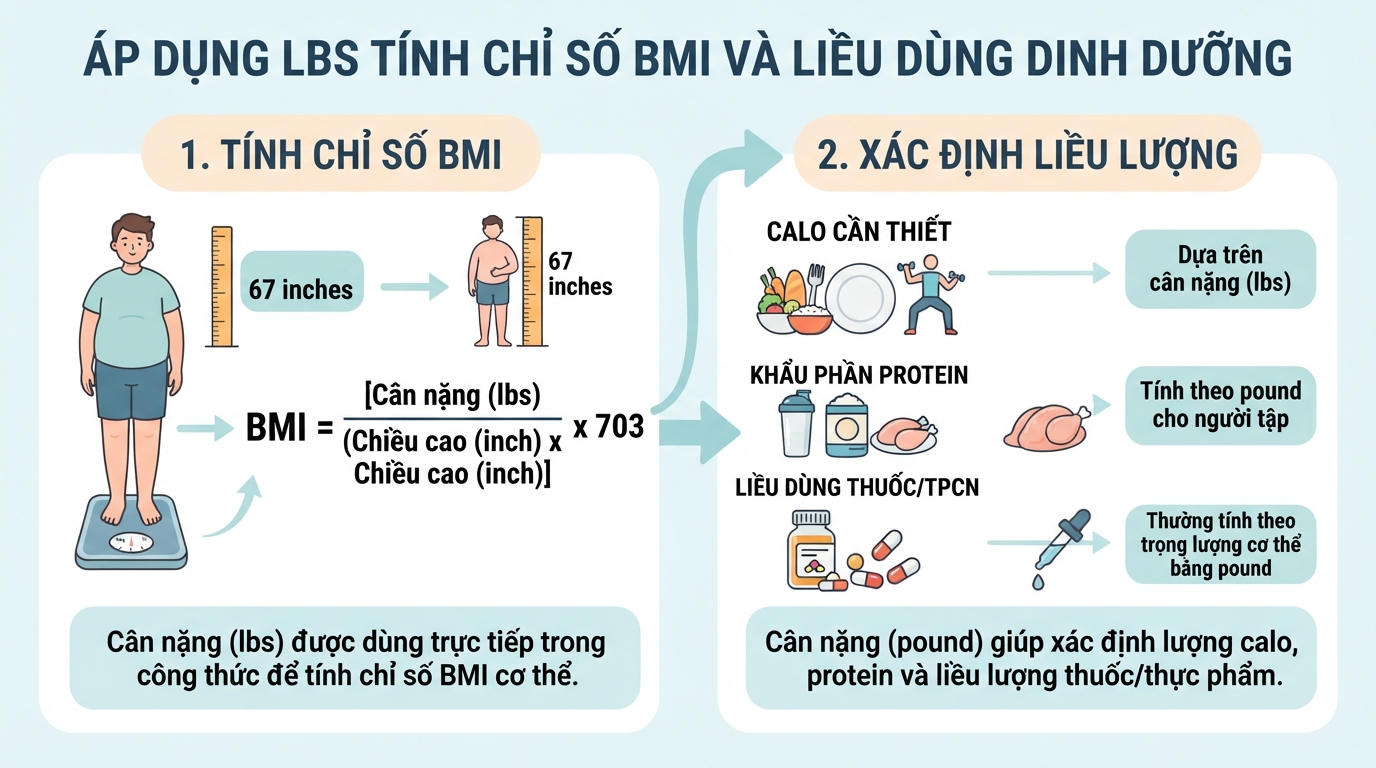 Lbs là đơn vị gì? Cách chuyển đổi sang kg dễ hiểu