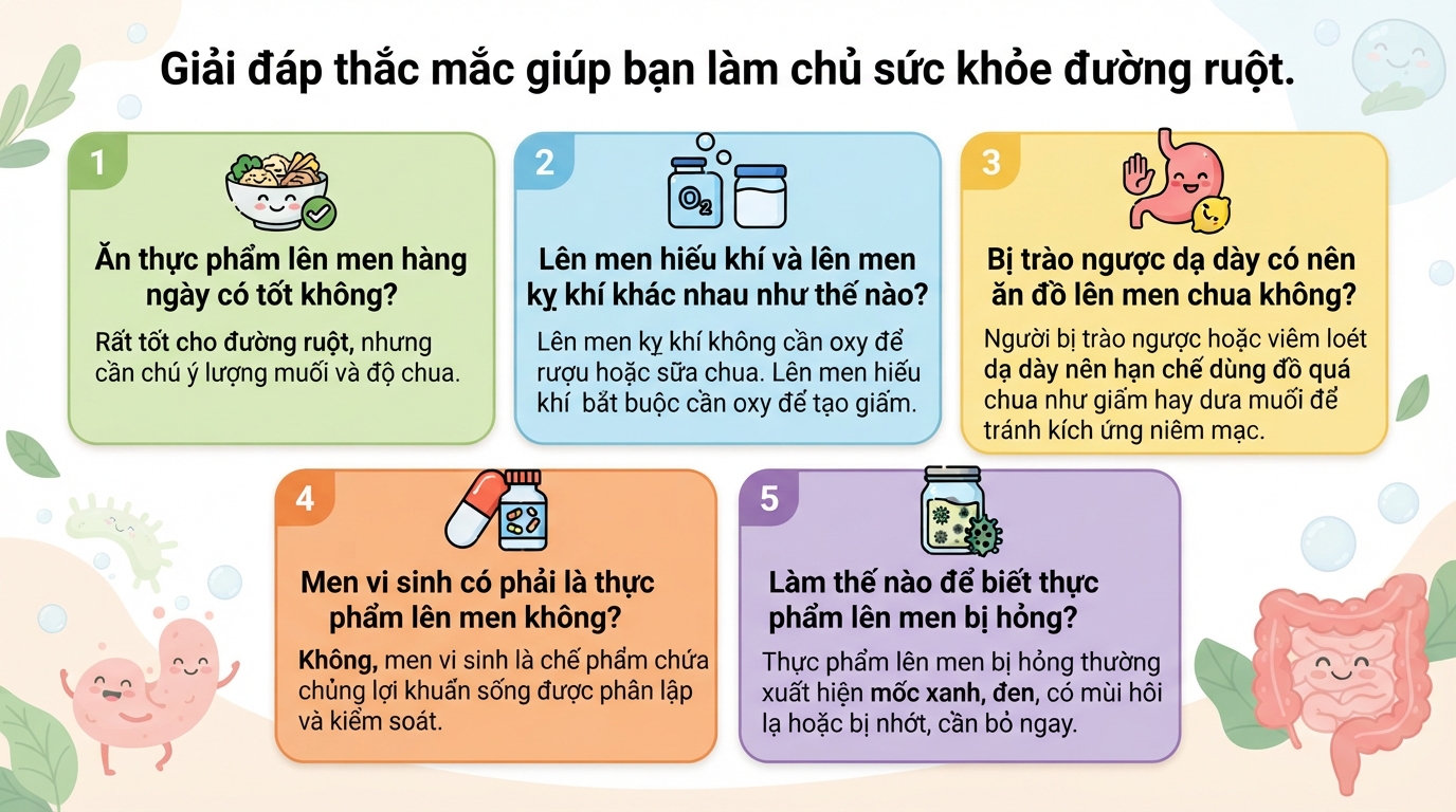 Lên men là gì? Cơ chế, các loại phổ biến và lợi ích đối với sức khỏe