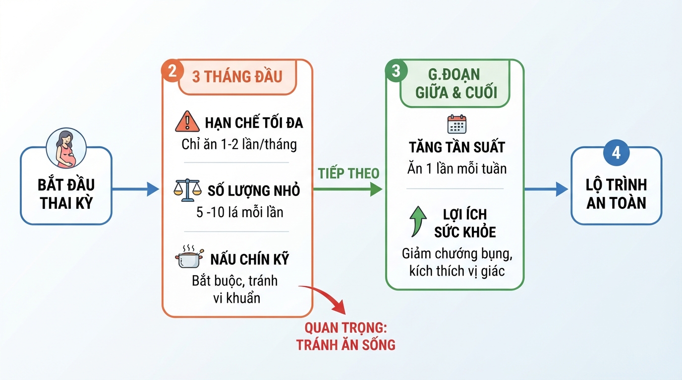Lộ trình điều chỉnh tần suất ăn lá lốt an toàn qua từng giai đoạn phát triển thai nhi.