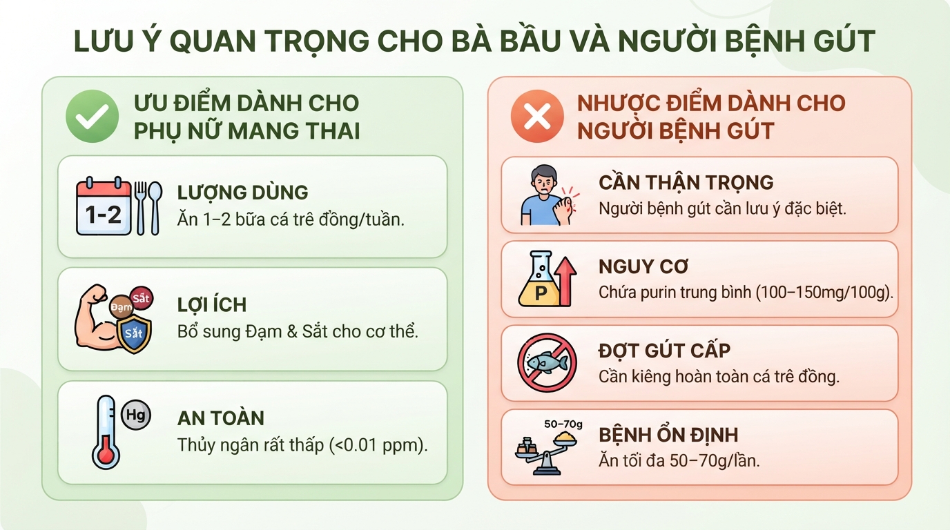 Cá trê có tác dụng gì? Giá trị dinh dưỡng và và lưu ý khi ăn
