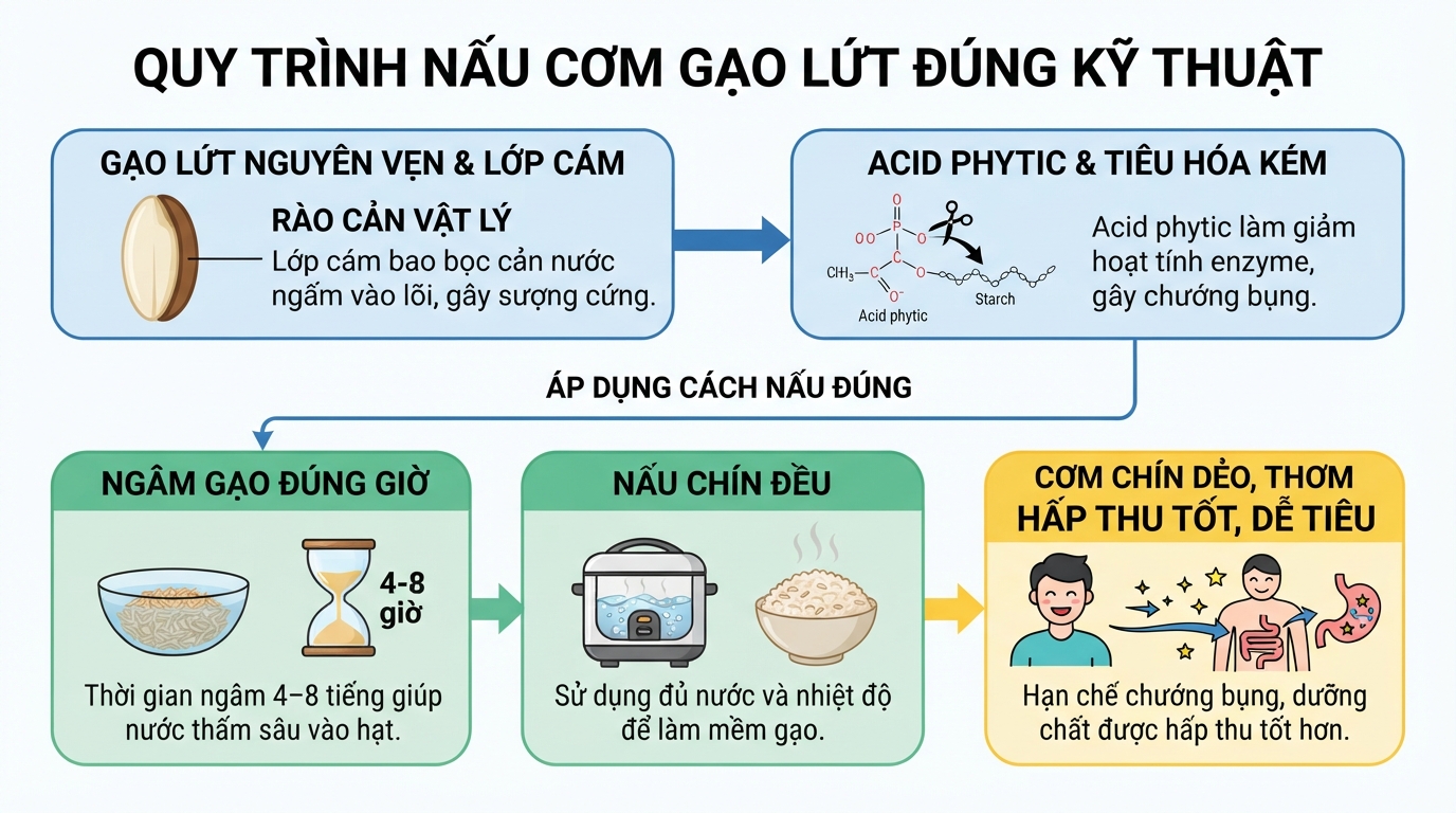 Lớp cám cản nước đòi hỏi áp dụng cách nấu cơm gạo lứt đúng kỹ thuật.