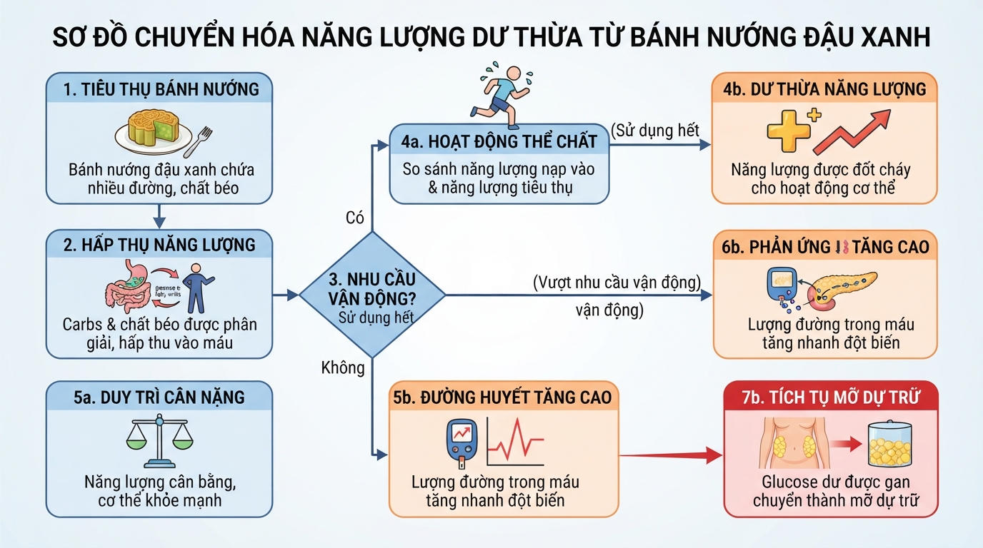 Mỡ thừa dễ tích tụ khi lượng đường và chất béo không tiêu hao hết.