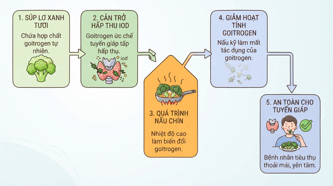 Nấu chín giúp giảm chất goitrogen, đảm bảo an toàn cho người bệnh tuyến giáp.
