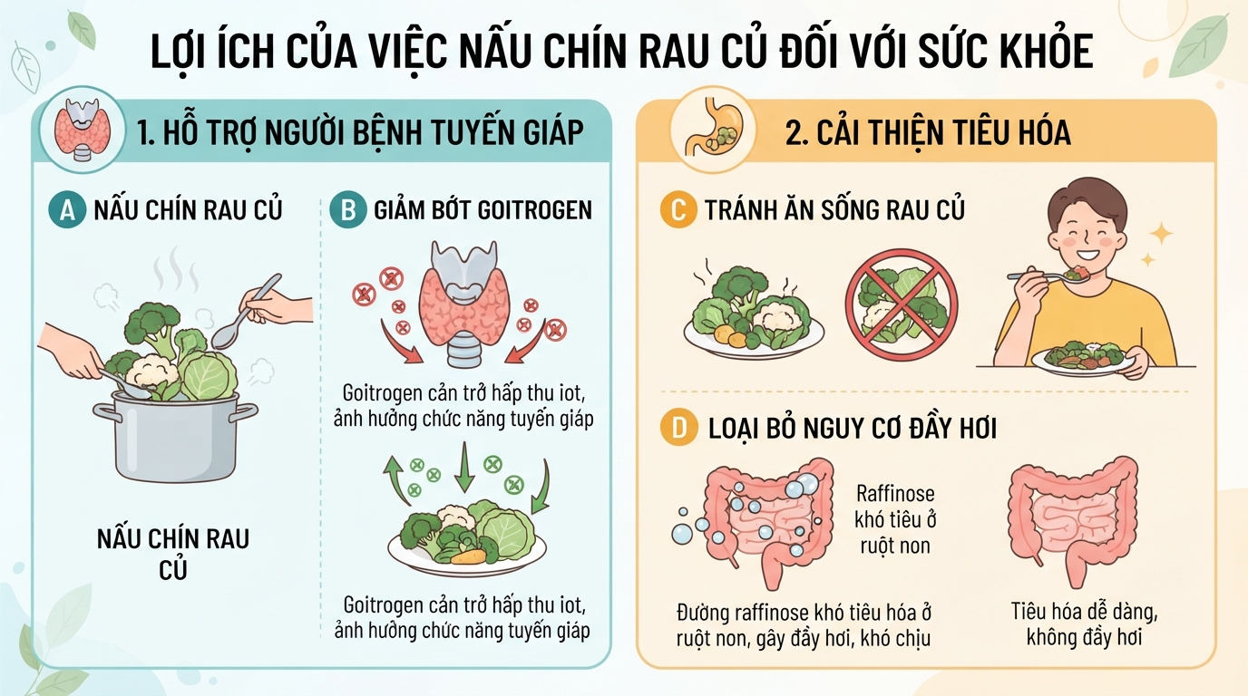 Nấu chín giúp phân hủy bớt goitrogen và loại bỏ nguy cơ đầy bụng do đường raffinose.