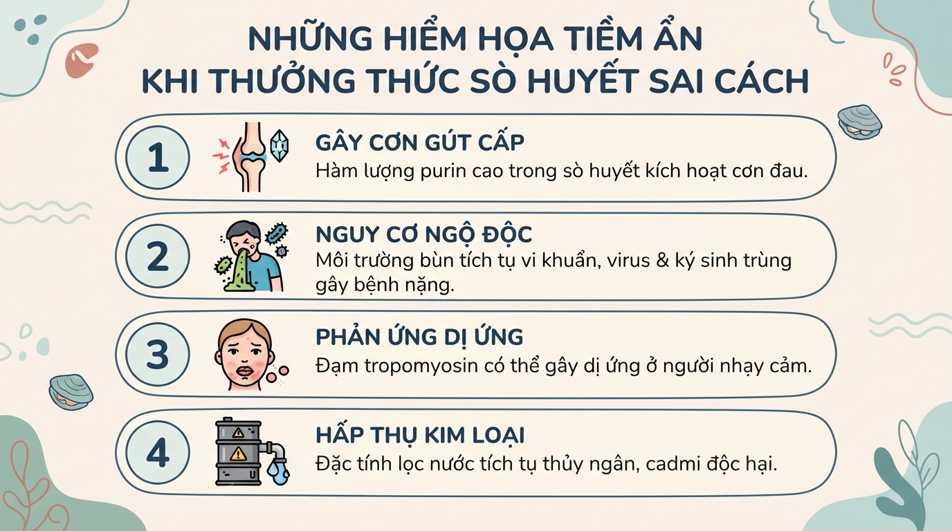 Sò huyết có tốt không? Dinh dưỡng, lợi ích và rủi ro cần biết