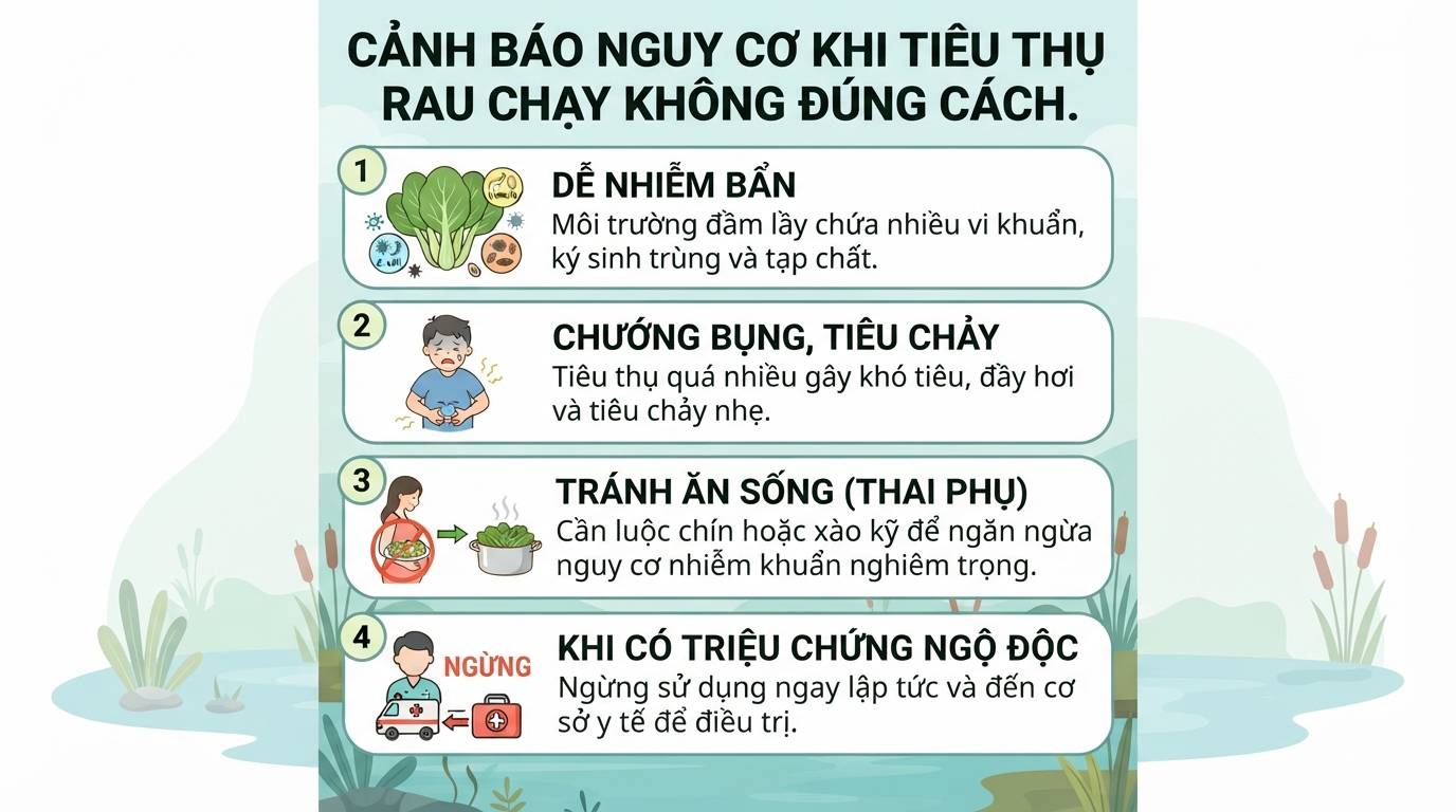 Rau chạy (đọt choại) là rau gì? 5 tác dụng sức khỏe và lưu ý dùng