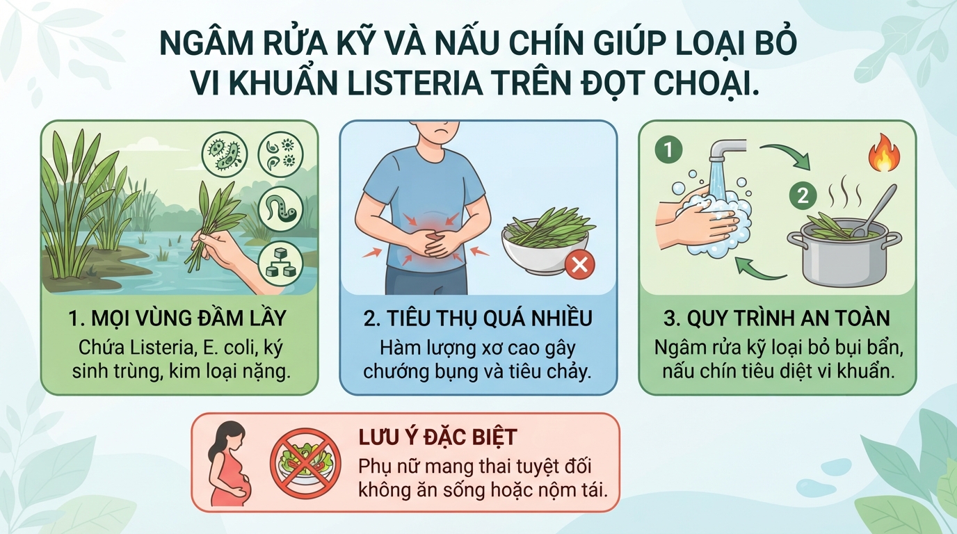 Ngâm rửa kỹ và nấu chín giúp loại bỏ vi khuẩn Listeria trên đọt choại.
