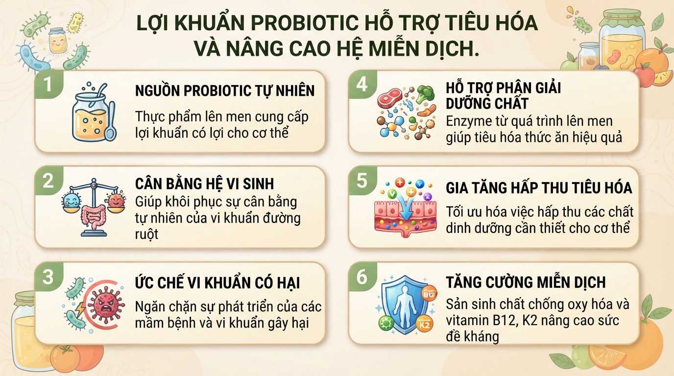 Lên men là gì? Cơ chế, các loại phổ biến và lợi ích đối với sức khỏe