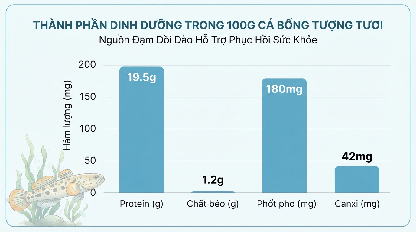 Nguồn đạm dồi dào từ cá bống tượng hỗ trợ phục hồi sức khỏe nhanh chóng.