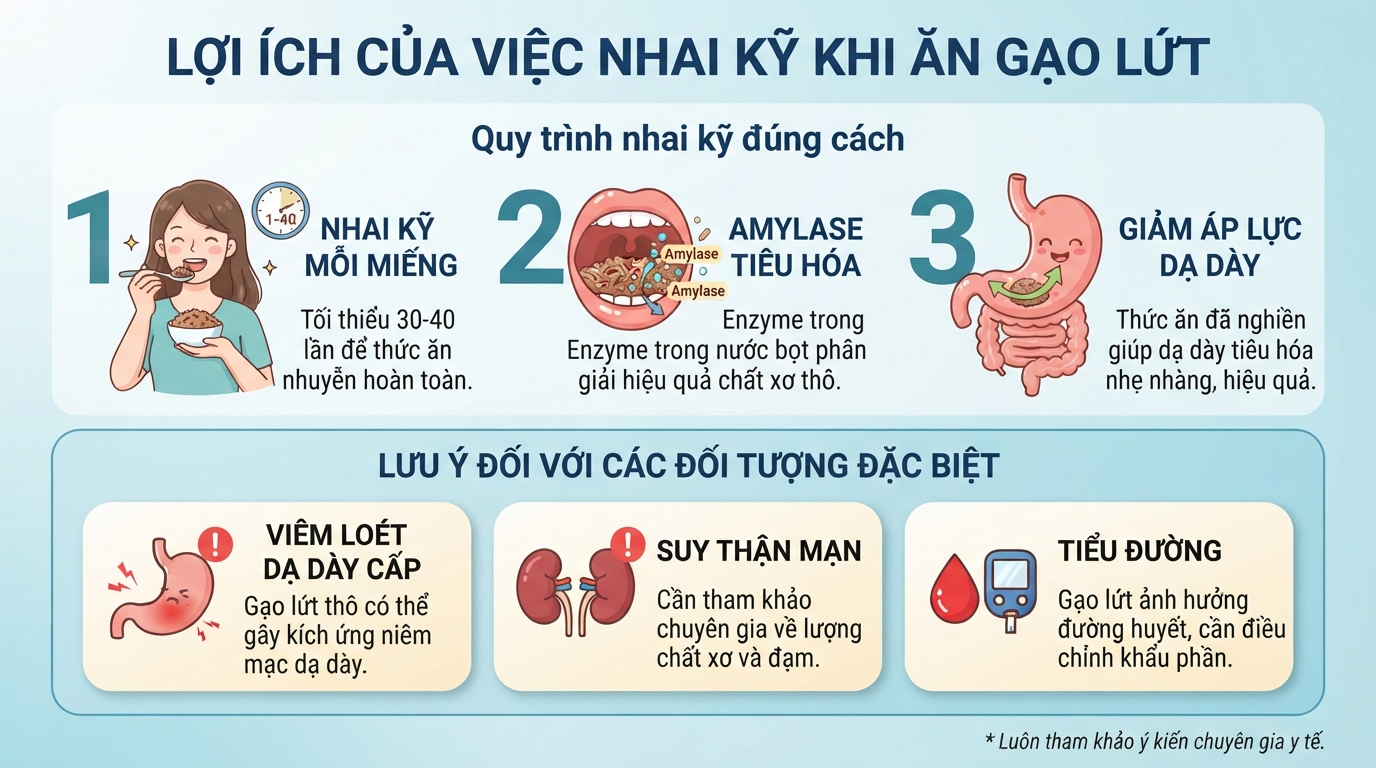 Nhai kỹ 30-40 lần hỗ trợ amylase tiêu hóa chất xơ, giảm áp lực cho dạ dày.