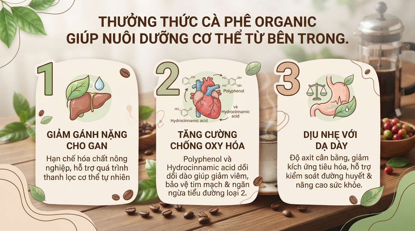 Cà phê organic là gì? Lợi ích sức khỏe và cách phân biệt