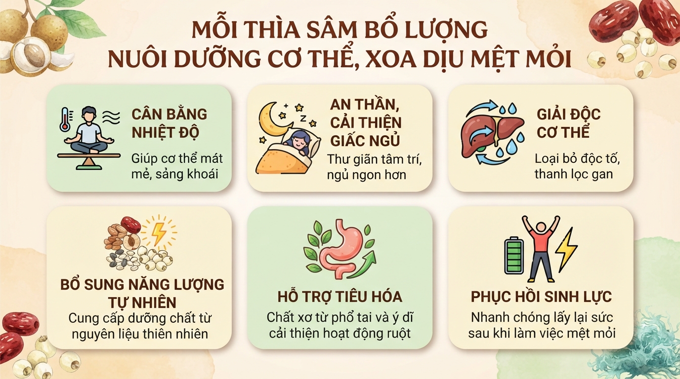 Sâm bổ lượng: Công dụng và lưu ý khi dùng cho bà bầu