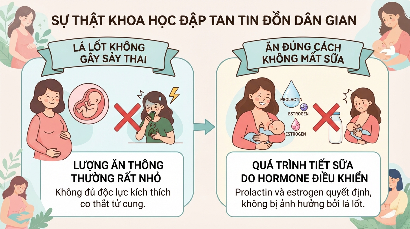 Mẹ bầu ăn lá lốt được không? Lợi ích và lưu ý cần biết