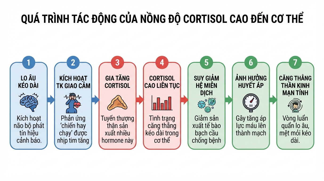 Nồng độ cortisol tăng cao liên tục từ phản ứng stress gây suy giảm miễn dịch.