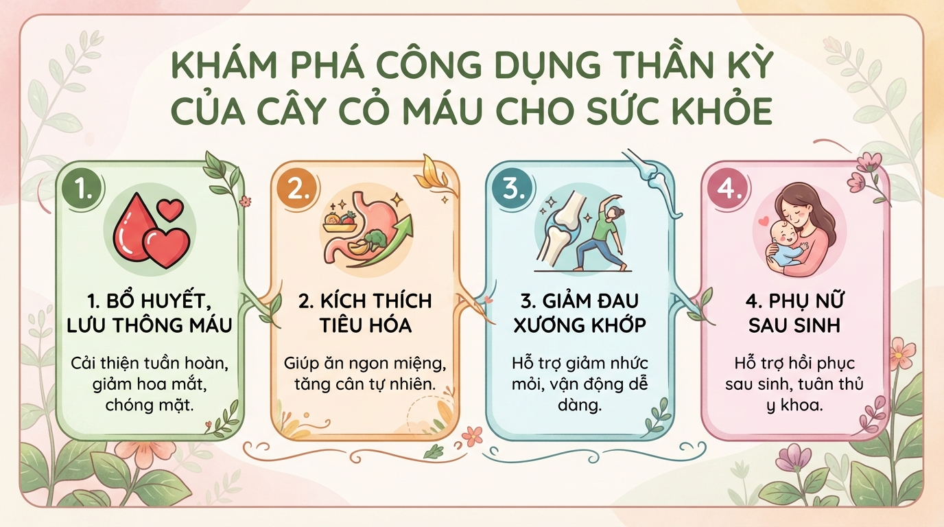 Cây cỏ máu có tác dụng gì? Cách dùng và đối tượng cần thận trọng