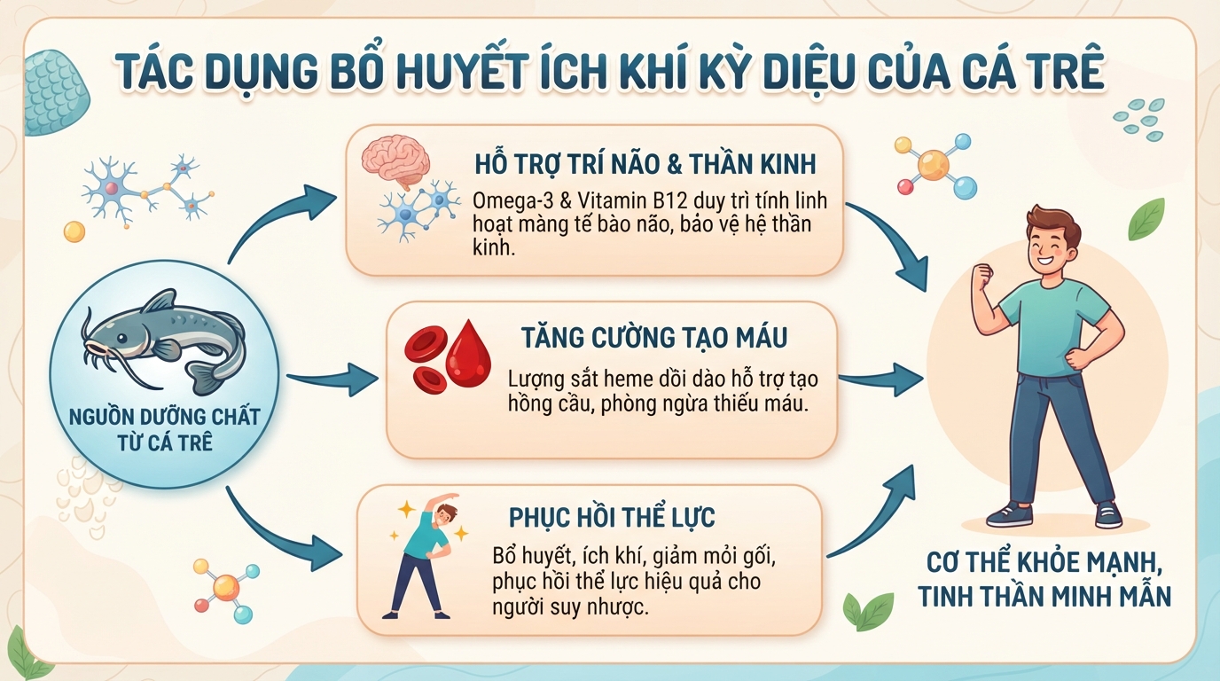 Cá trê có tác dụng gì? Giá trị dinh dưỡng và và lưu ý khi ăn