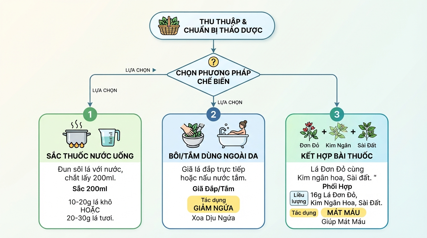 Phương pháp chế biến thảo dược giúp tối ưu khả năng hấp thu hoạt chất điều trị.