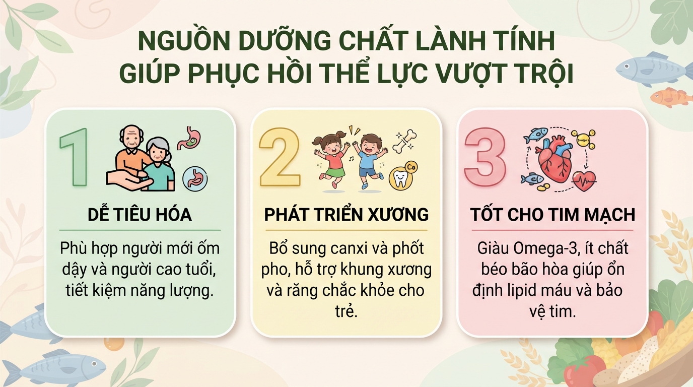 Cá bống tượng: Giá trị dinh dưỡng, công dụng và 5 món ăn bồi bổ sức khỏe