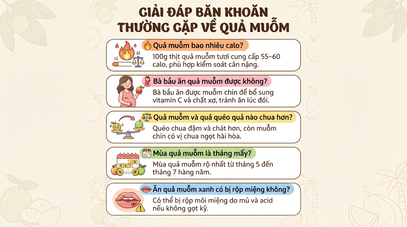 Quả muỗm là gì? Công dụng và cách phân biệt với quả quéo