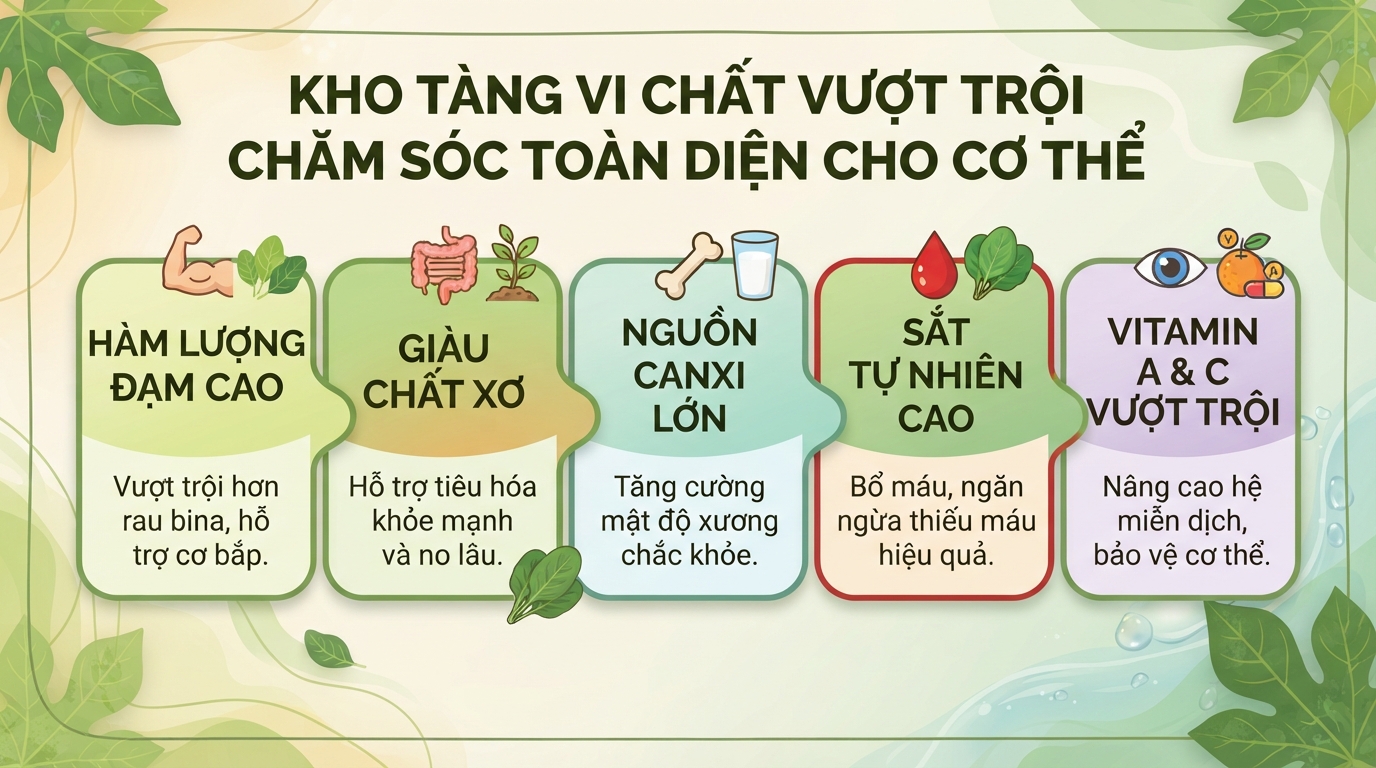 Cây mì chính là gì? Công dụng và lưu ý khi sử dụng