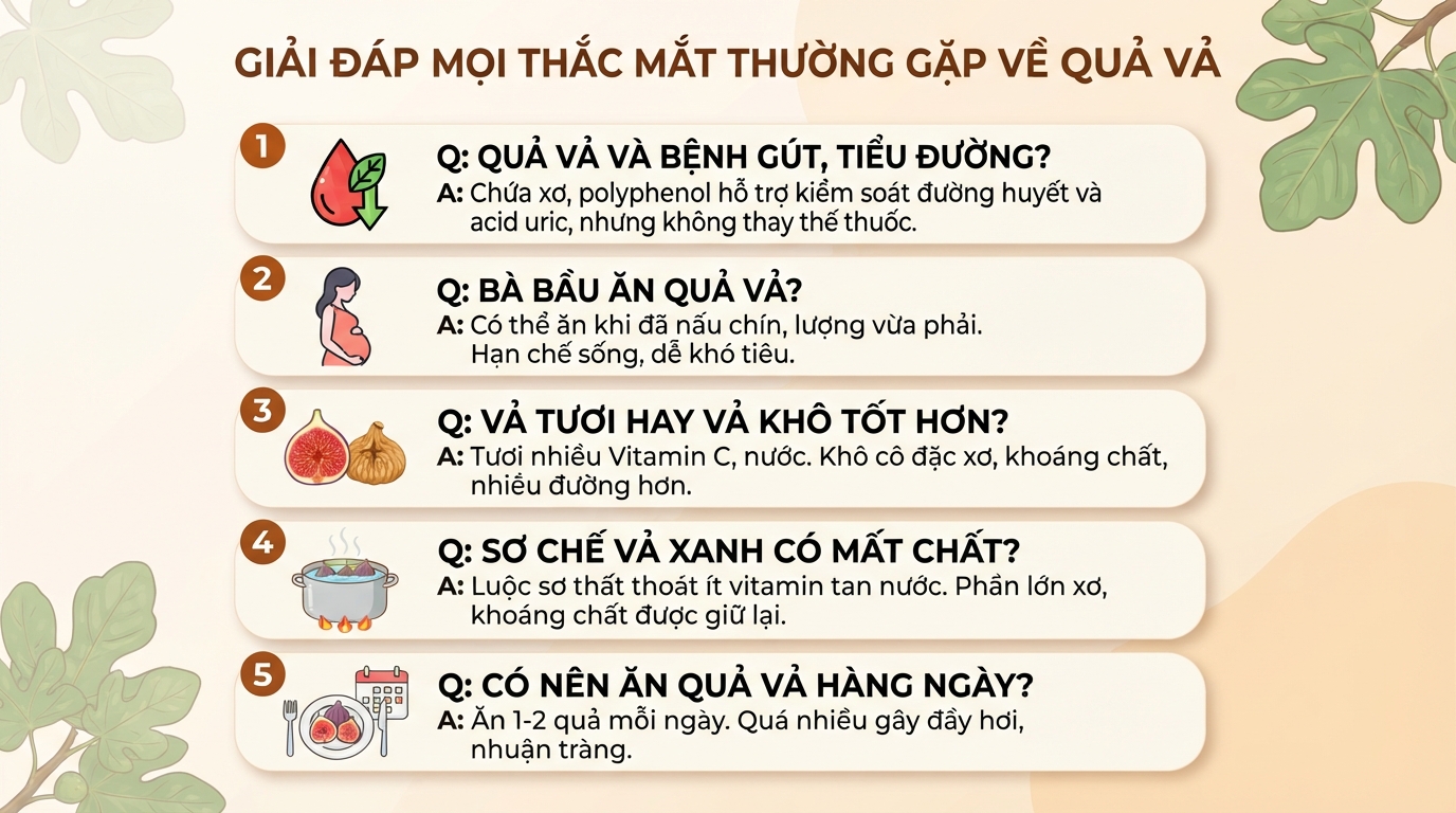 Quả vả là gì? Giá trị dinh dưỡng, tác dụng và cách sử dụng đúng cách