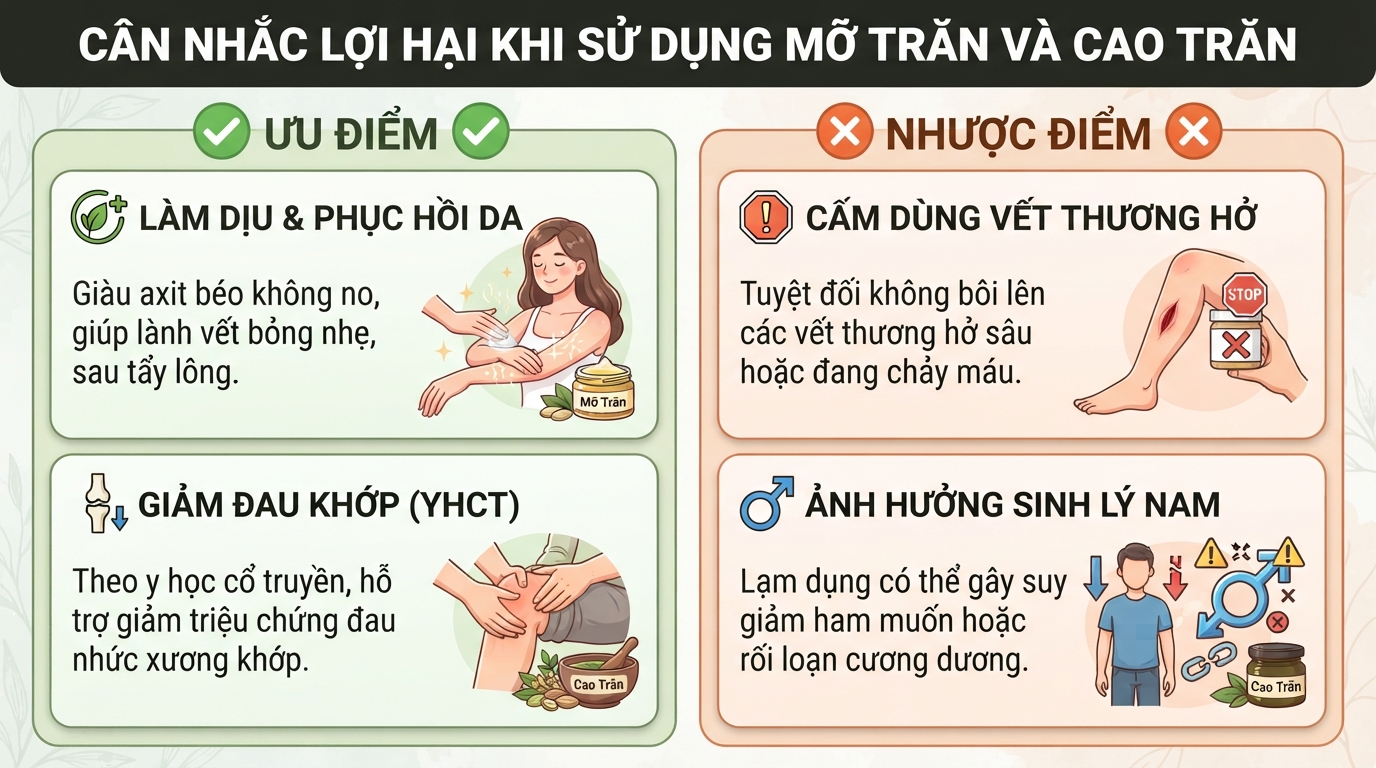 Con trăn có độc không? Đặc điểm và cách xử trí khi bị cắn